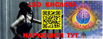 прущие грибы Нягань