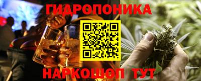 спиды Обь
